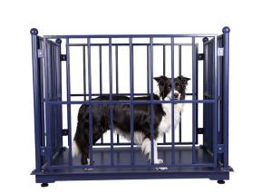 Quality Electronic KELI 5000KG Cattle Weighing Systems Carbon Steel wholesale