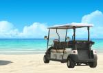 48V 3.7KW Battery Operated Eight Seater Golf Cart With Rear Flip Flop Seat