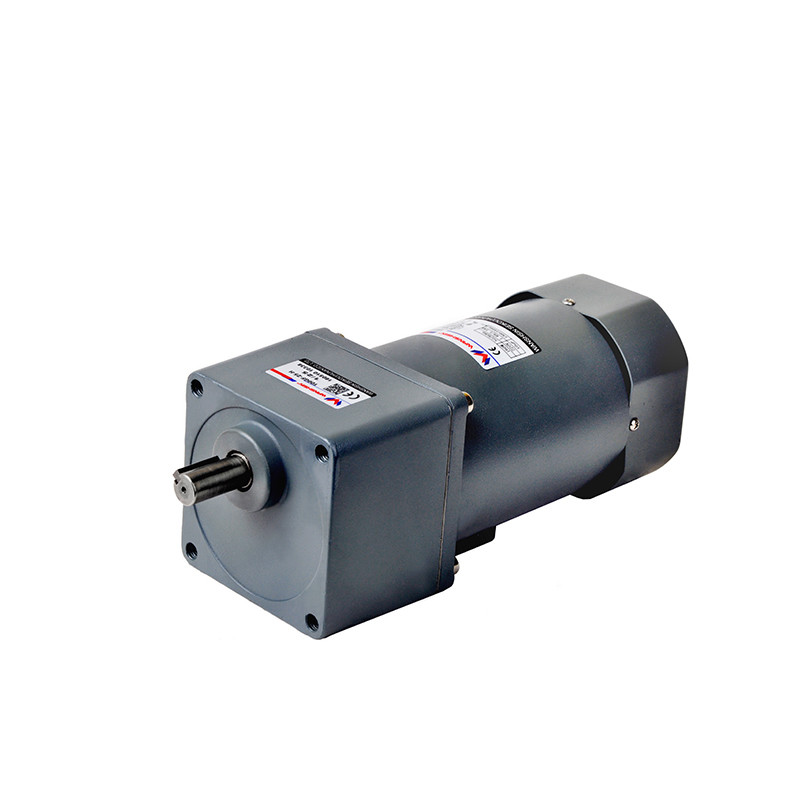 Hot sale Micro Motor AC 25W single Phase reduction Motors speed controller