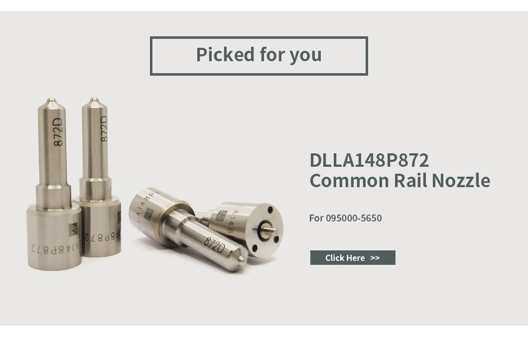 Denso Injector Repair Kit For Injectors 095000-5650 / 5655 DLLA148P872