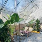 US Currency Multi Span Vegetable Film Greenhouse System for Sunlight and