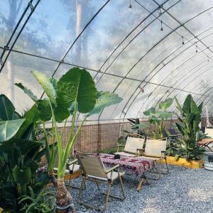 Quality US Currency Multi Span Vegetable Film Greenhouse System for Sunlight and Strawberry Flower wholesale