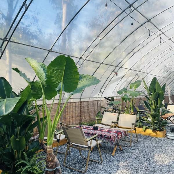 US Currency Multi Span Vegetable Film Greenhouse System for Sunlight and