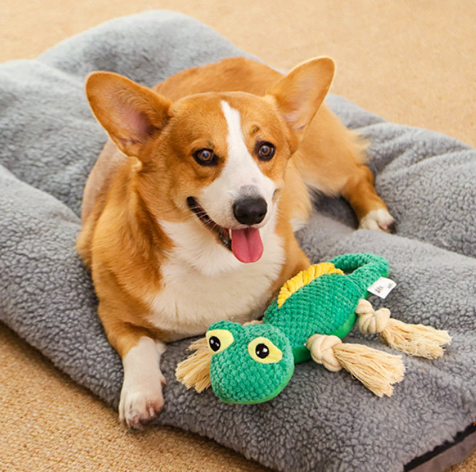 chew toys for heavy chewers