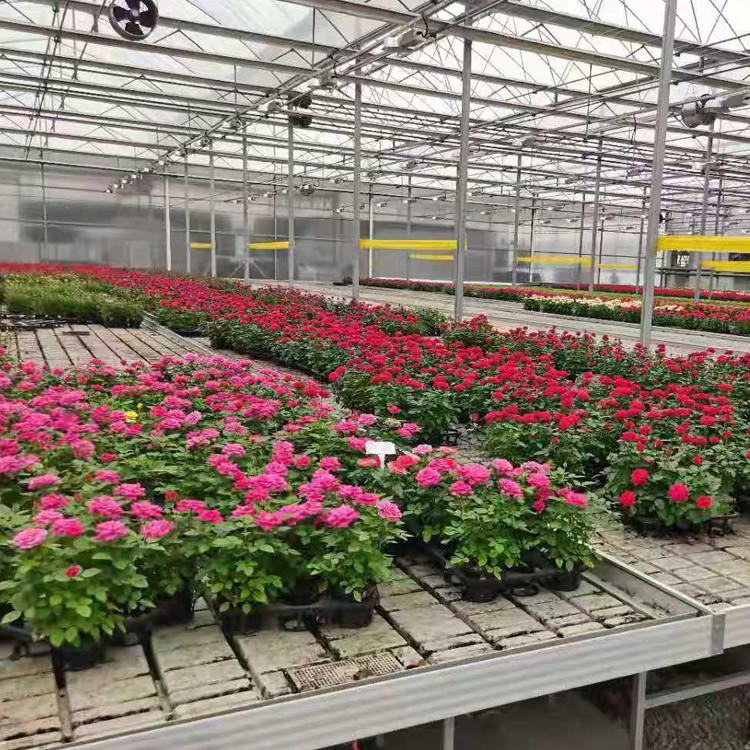 Seedbed Ebb And Flow Rolling Benches Farming Agricultural Equipment Support
