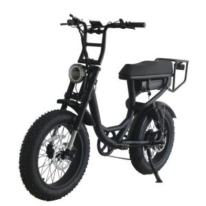 Quality Electric Bicycle 48v 20 Inch Adult E Bike Customized Aluminum Alloy Frame 2022 Mountain wholesale