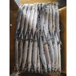 105g - 125g BQF Frozen Pacific Saury Fish