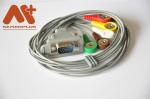 ISO13485 5 Lead Holter Cable DMS Cardioscan Leadwire DMS - 20200084