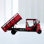 160cc Cargo Motorized Tricycle 12V 3 Wheels Open 10-20L Payload