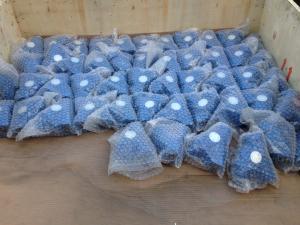Quality ANSI y strainer flanged ends wholesale