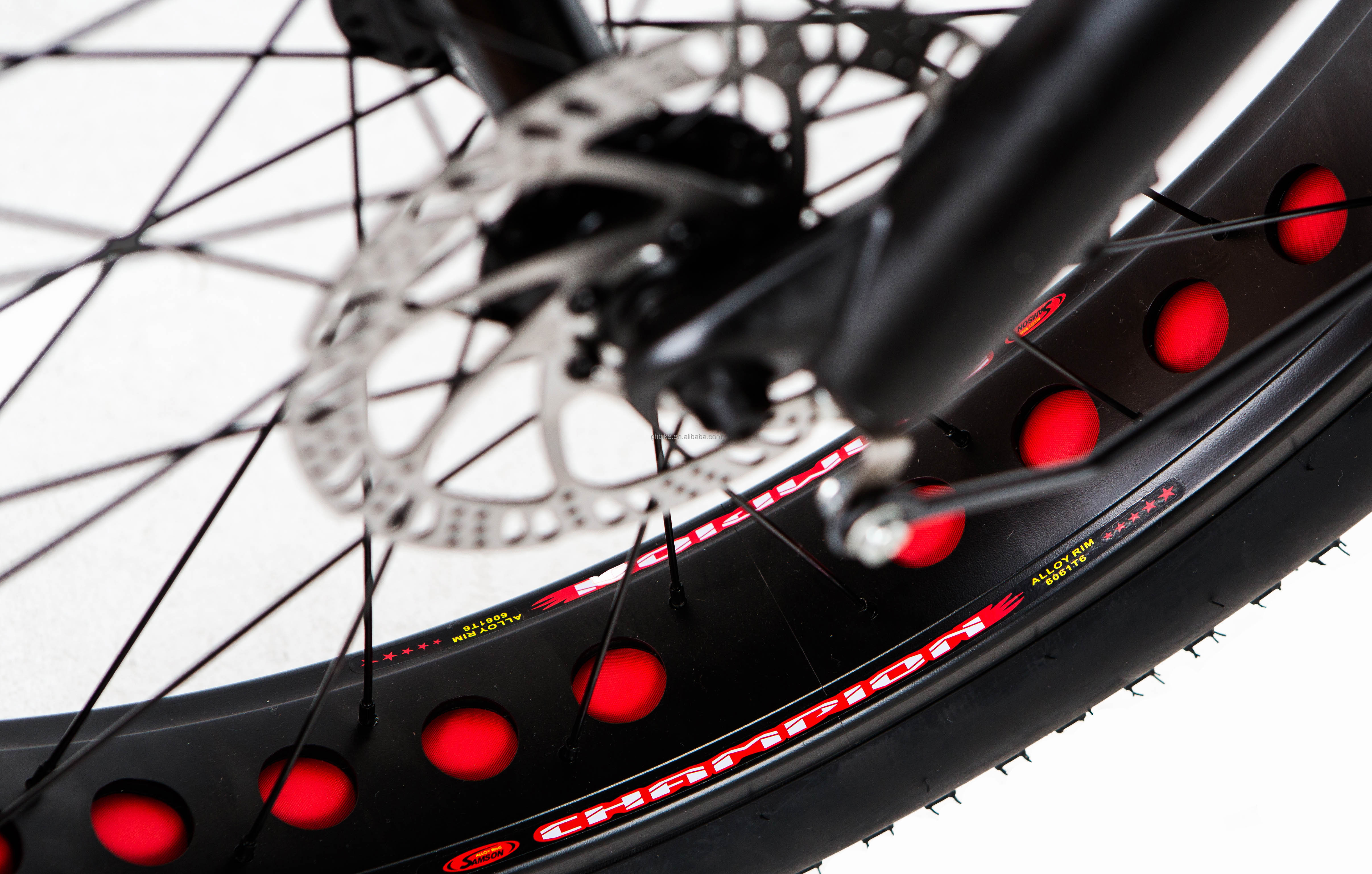 48V 1000W 17AH Lithium Battery OEM EN15194 CE Customized Electric MTB Mountain Fat Tire Bike