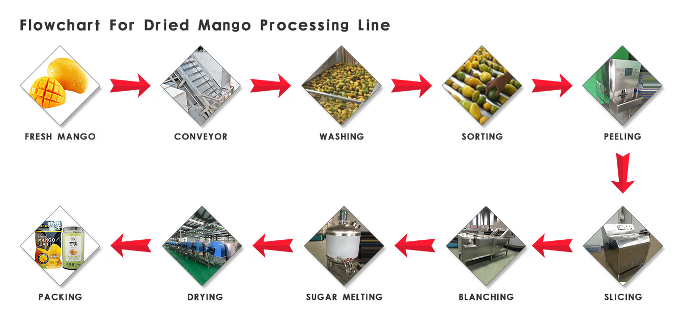 Automatic Industrial Fruit Dryer / Fruit Drying Machine Industrial
