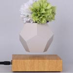 magnetic suspension air bonsai, flying plant ,levitation flower pot