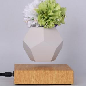 Quality magnetic suspension air bonsai, flying plant ,levitation flower pot wholesale