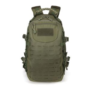 Quality Unisex Hard Handle Molle System Backpack For Outdoor Training And Waterproof Design wholesale