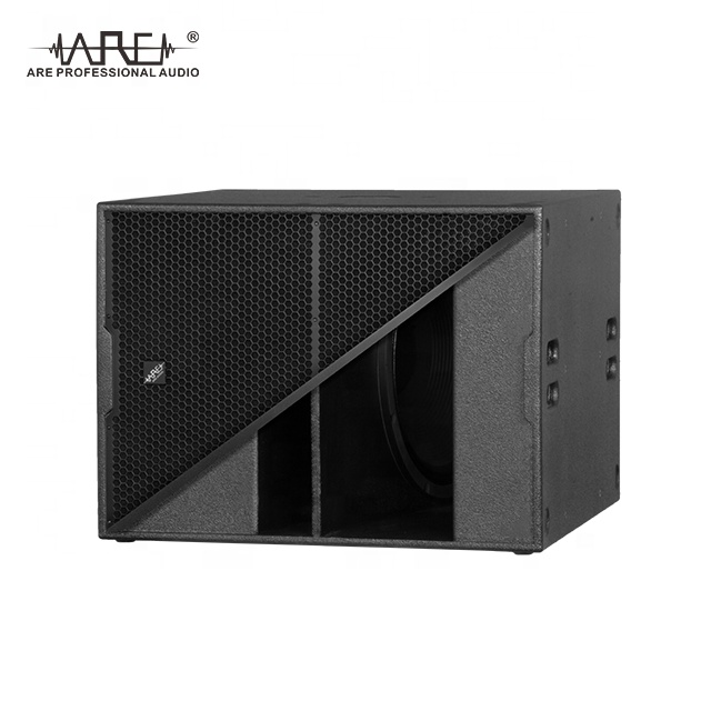 ARE Audio Dual 12" Outdoor Line Array Set Line Array System Monitor Speaker for Medium Events