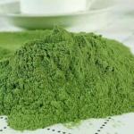 Fresh Vegetable Spinach Powder Bulk Organic Red Spinach Extract