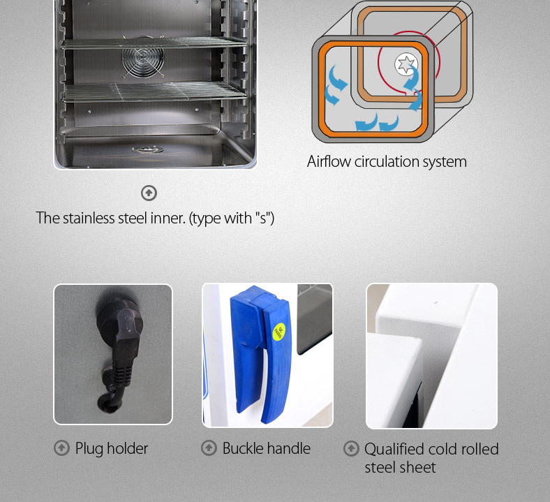 250C Air Circulation Lab Oven Drying LCD Thermostatic Drying Oven Biology