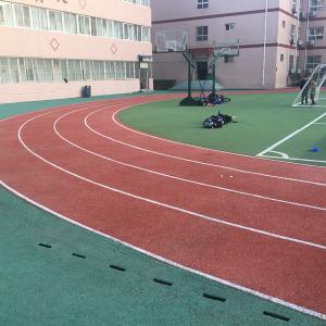 Quality Recycled 13mm Rust Resistant Synthetic Sports Surfaces Non-poisonous wholesale