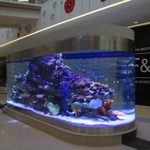 Quality High Transmissive 95% PMMA Aquarium Acrylic Sheet 2000*3000mm wholesale