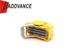 China Supplier Automotive Electrical Female 54 Pin ECU Connectors