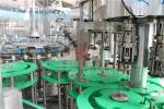 High Speed Juice Bottle Filling Machine Glass Bottling Equipment