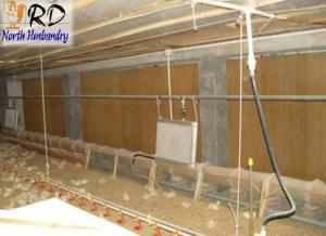 Quality evaporative cooling pad of poultry equipment wholesale