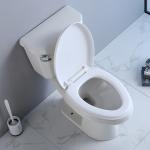 Elongated Compact Ada Toilet 19 Inches Powerful Punch Syphon Standard Height