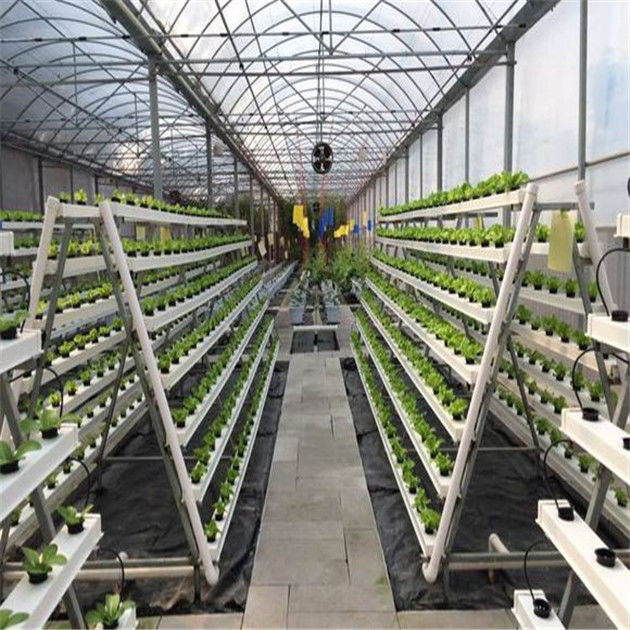 Plastic Film Automated Hydroponic Greenhouse Hanging Load 0.15KN/M2 Rainfall 140mm/h