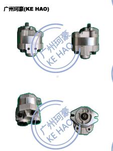 Quality Standard 705-22-26260 D41E D41P Pump Assembly wholesale
