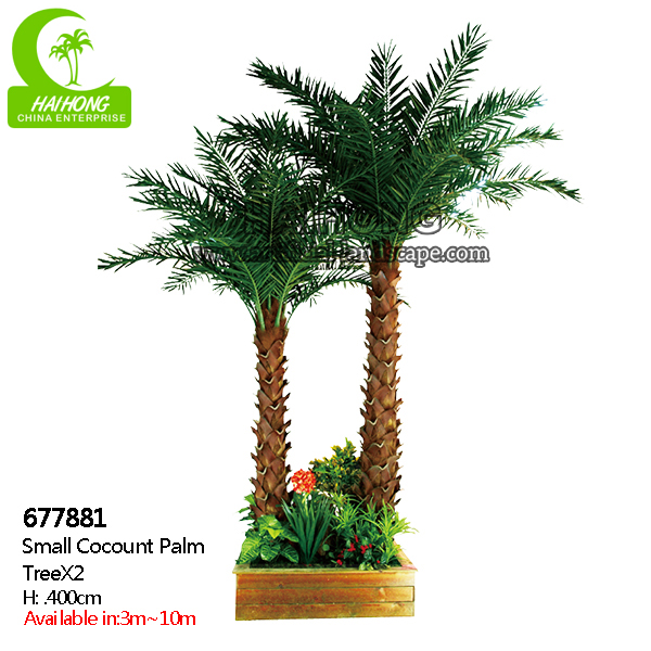 small coconut palm tree