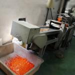 RAL1032 Chemical Resistant Powder Coating For Lawn / Garden Equipment