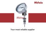 High Accuracy Bimetallic Thermometer Liquid Pressure Gauge For Engineering