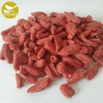 High Quality Bag Package Chinese Organic Wolfberry/Goji berry/red medlar