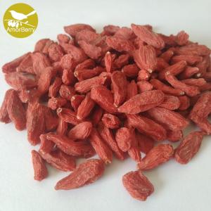 Quality China supplier dried medlar wolfberry goji berry Health fruit ningxia zhongning low pesticide dried goji berry wholesale