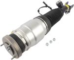 546063N517 Air Suspension Parts Air Suspension Strut