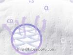 Taped Diaper Hot Selling Waterproof Kids Care Product Diaper