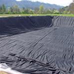 Contemporary Design Style India Manufactured HDPE Geomembrane 1mm for Fish Pond