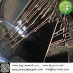 Black film faced plywood /formwork/shuttering boards