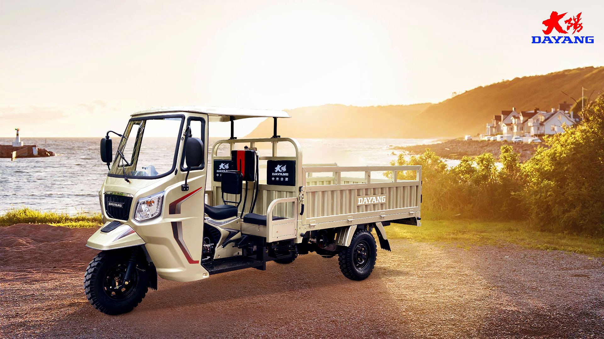 Front Drum Rear Drum Brake System 250cc Petrol Cargo Tricycle for Elderly and Family