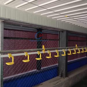 Quality Durable Steel Structures Manufacturing Custom Galvanized Steel Livestock Buildings wholesale
