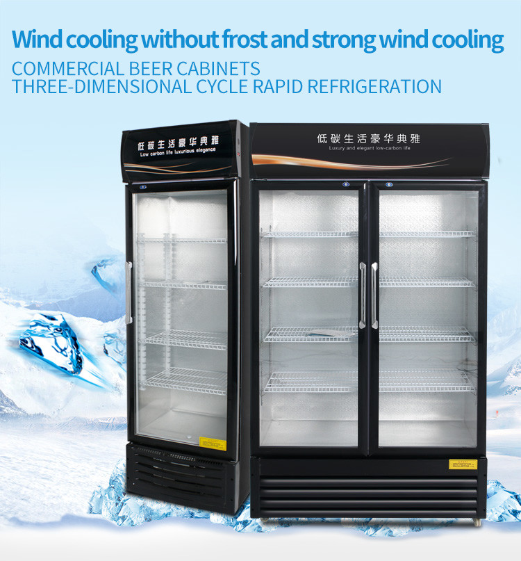 Upright Commercial Display Freezer Beverage Cooler