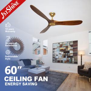 Quality DC Motor Power Saving 3 Blade Ceiling Fan No Light 5 Speed Choice wholesale