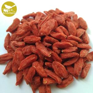 Quality Amorberry China NingXia dried Goji berry High Quality Organic Goji Berries Lycium Barbarum L. wholesale