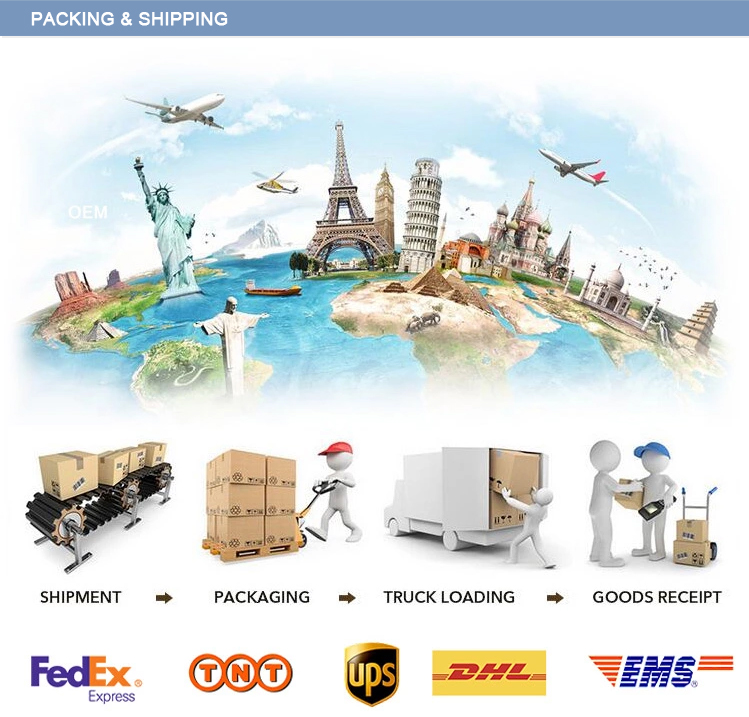 Cloth Packaging, Apparel Bags, Merchandise Pink and Purple Thick Plastic PVC Gift Bags Retail Clothing Shopping Bags