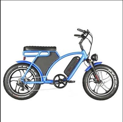 Comfortable Unisex Electric Hybrid Bike With 2.25-17 Tubeless Tires And Disc