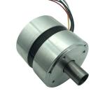 Professional Manufacturer for Electrical Brushless DC Motor Customized Voltage