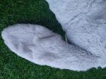 golf head cover , dog head cover , animal head cover , plush head cover , driver
