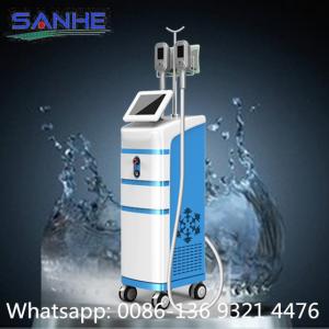 Quality 2 handles Cryolipolysis Weight Loss Machine wholesale