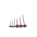 Corrosion Resistant SS304L Plastic Cap Roofing Nails